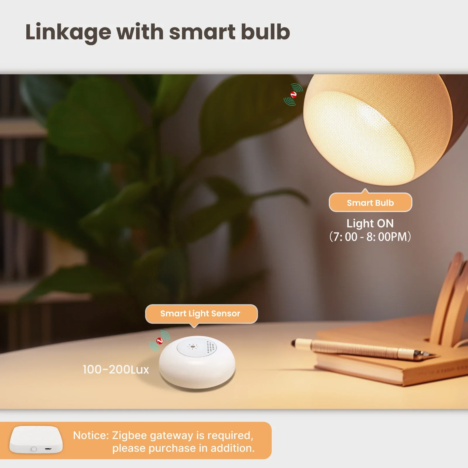 MOES Tuya Zigbee Smart Light S - Smart Home Villa 리뷰 및 가격