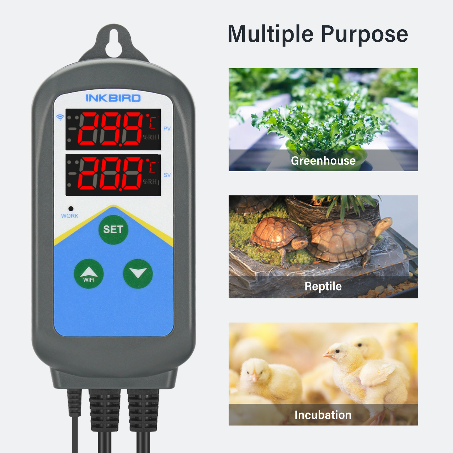 INKBIRD WIFI Thermoregulator I - Smart Home Thermostat 리뷰 및 가격