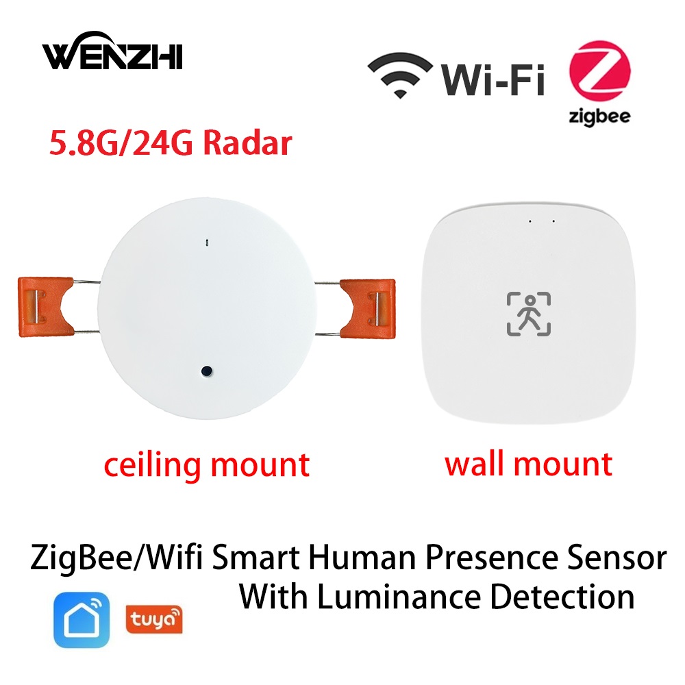 ZigBee Wifi MmWave Human Prese - Smart Home Villa 리뷰 및 가격