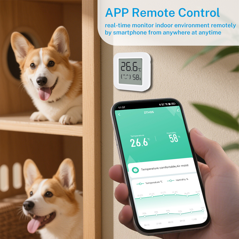Zigbee2MQTT Tuya Temperature H - Smart Home Alexa 리뷰 및 가격